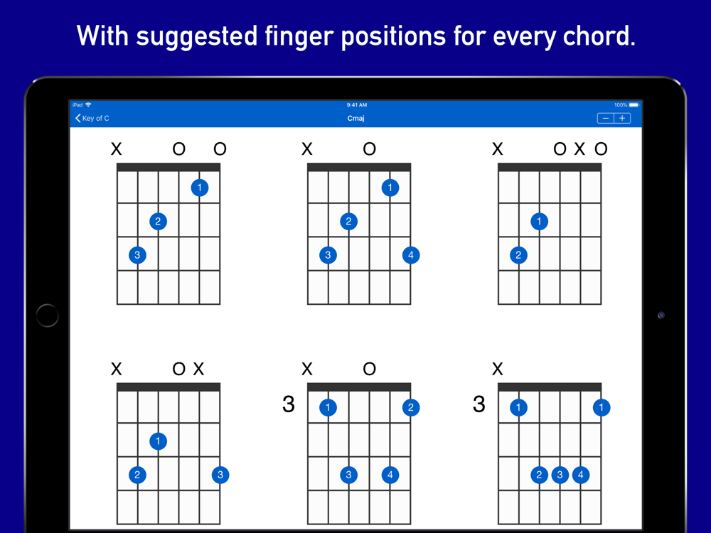GtrLib Chords iPad Screenshot 2