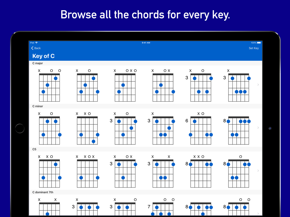 GtrLib Chords iPad Screenshot 3