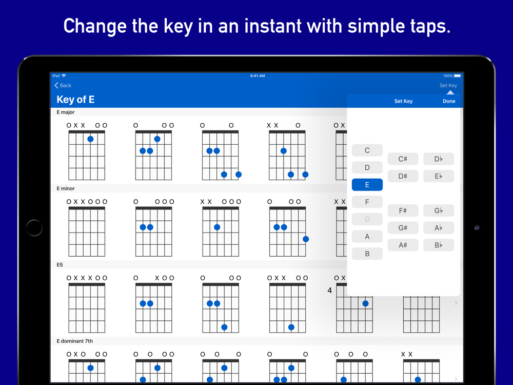 GtrLib Chords iPad Screenshot 4
